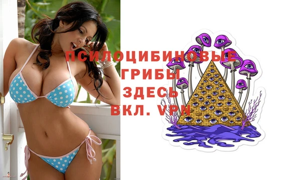 соль ск Кинешма
