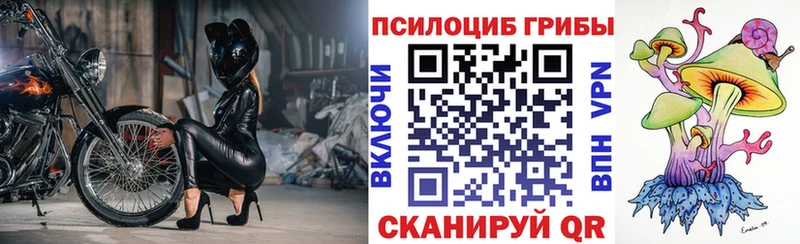 Псилоцибиновые грибы Cubensis купить наркотик нарко площадка телеграм Михайловка